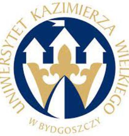 Raport końcowy